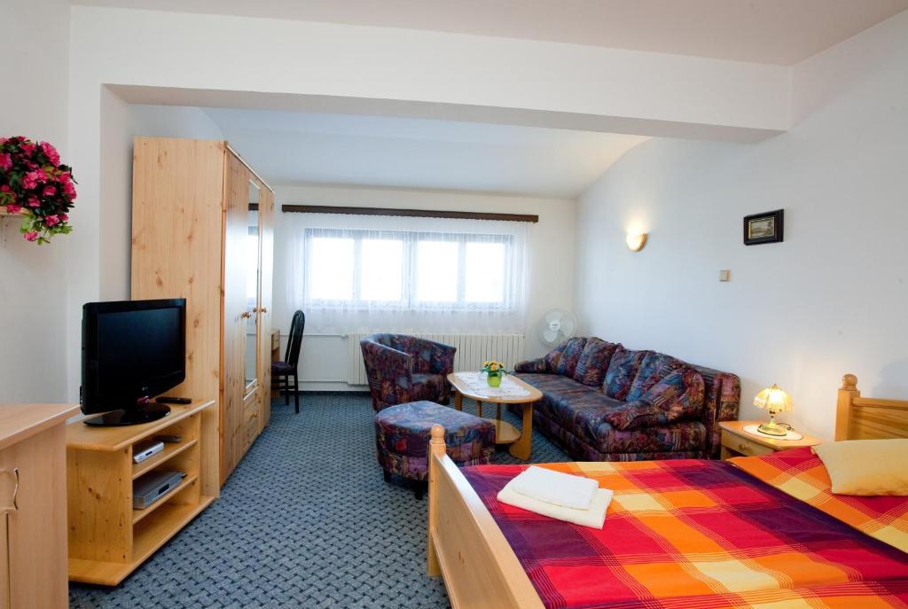 Pension Minor Ceske Budejovice Room photo